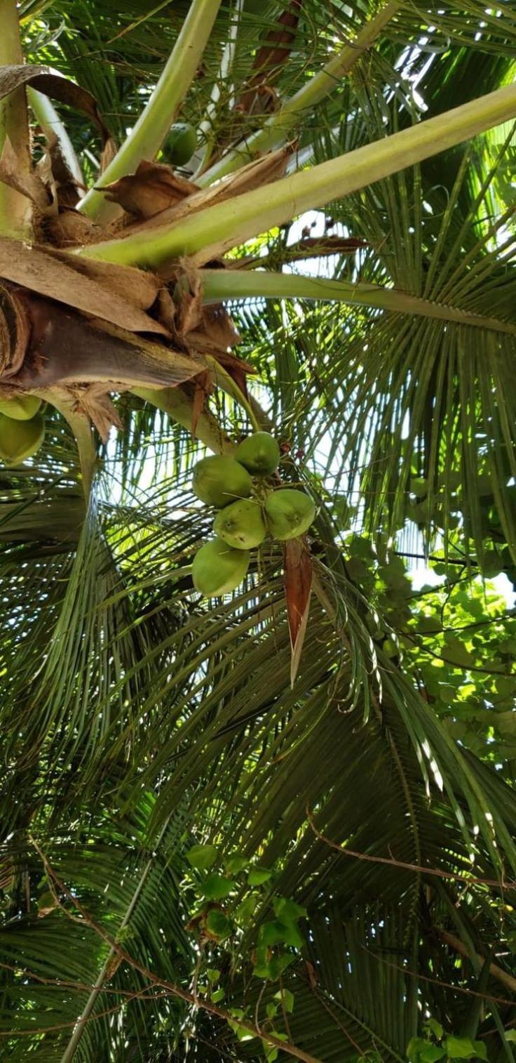 Tiwi Beach Resort & Spa Mombasa Luaran gambar